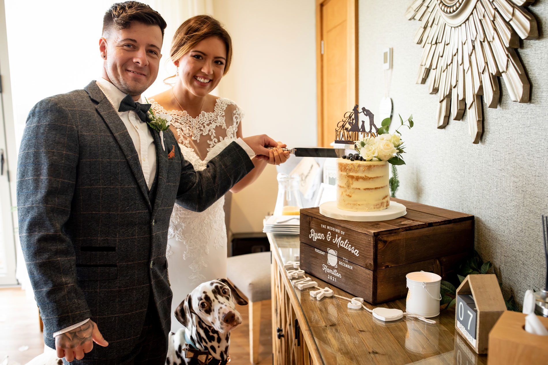 Dog friendly wedding celebrations at Tree Top Escape — treats for your dog too