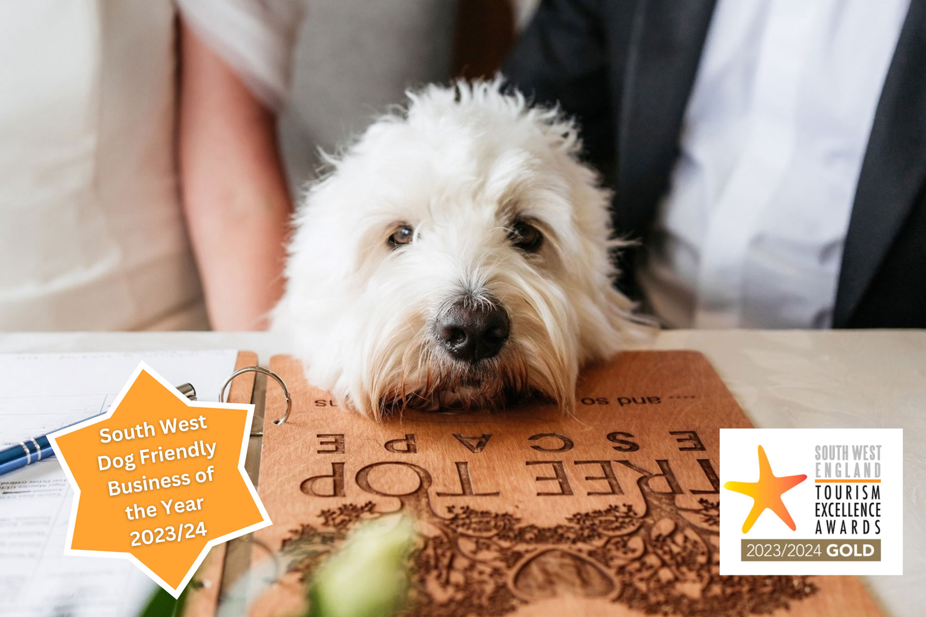 Dog Friendly Weddings