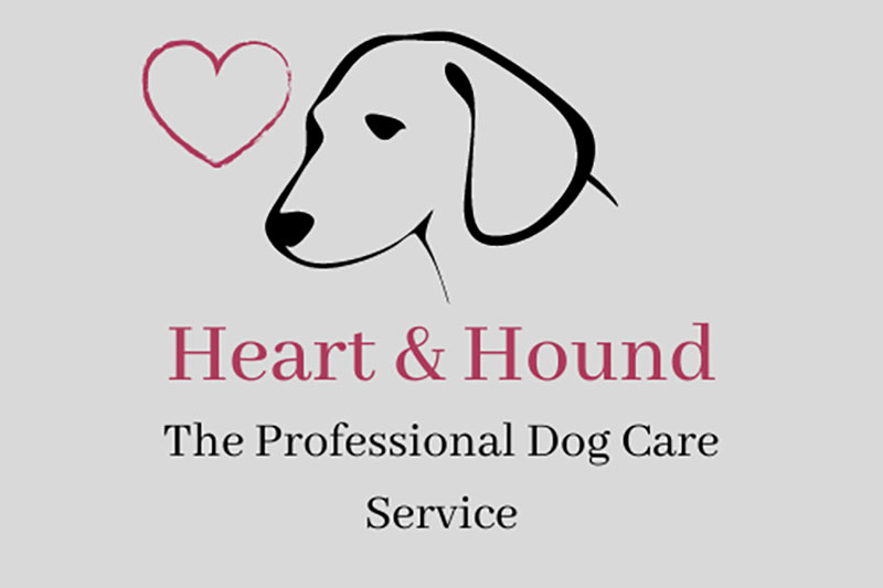 Devon Doggy Day Care