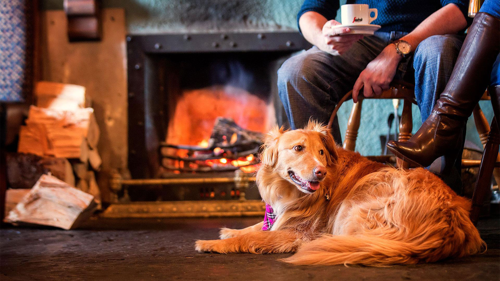 North Devon Dog Friendly Places to Eat