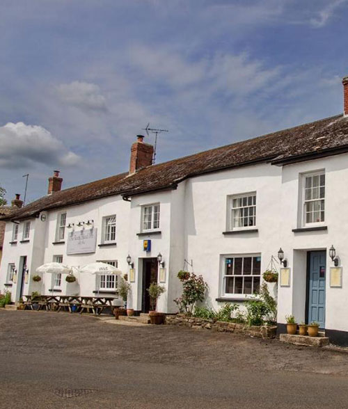 Dog Friendly Places to Eat