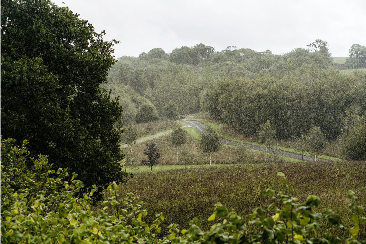 Rain at Tree Top Escape