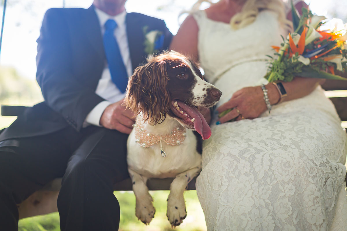 Dog Friendly Wedding Venue